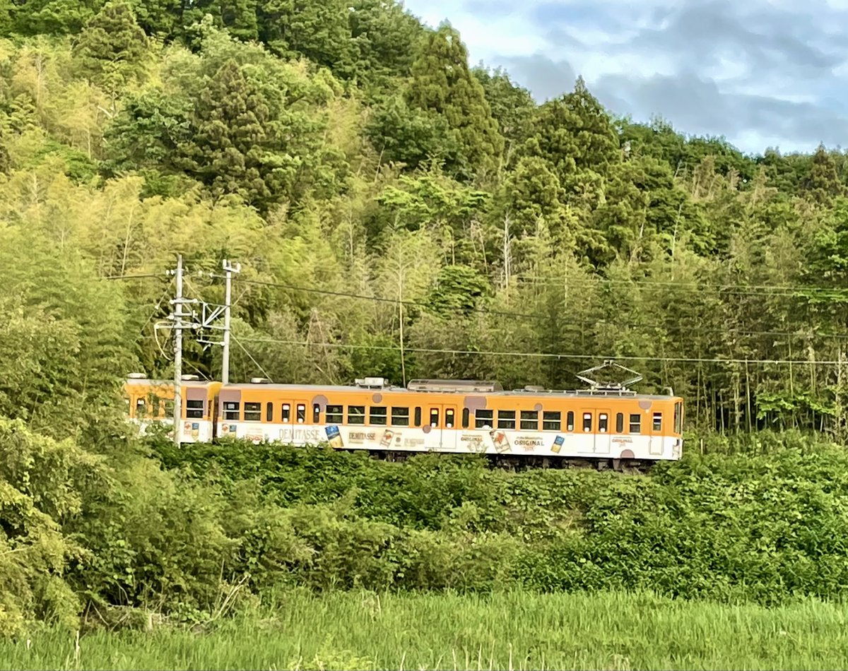 tomiminto's tweet photo. 仮住まいアパートは自然豊かな森の近く🌳

少し歩くと緑の木々と
#近江鉄道
の電車🚃も観られる。
#レトロ
な看板や年季の入った線路も好き💗

今夜も守られますようように☦️

#ガチャコン
#お写んぽ https://t.co/rPXmdFDgiR