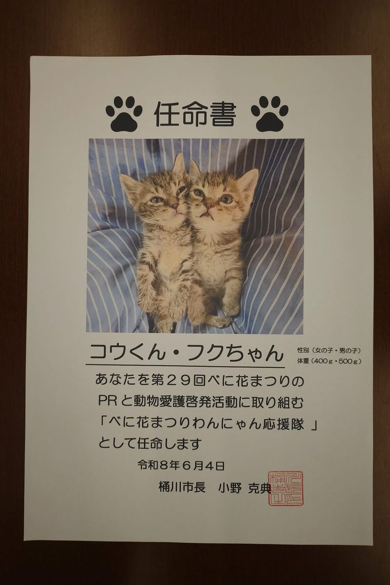 onokatsunori's tweet photo. 今年は、アリス様の「メイちゃん」（３歳　メス）、FARCO様の「きゃんくん」（１１か月　オス）をPR犬に、そして、しっぽのしらべ様の「コウくん」（生後２～３か月　オス）と「フクちゃん」（生後２～３か月　メス）をPR猫に任命しました。 https://t.co/7j4SIMlsCo