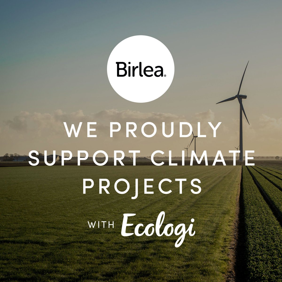 Birlea_Ltd's tweet photo. This #WorldEnvironmentDay, we’re proud to reflect on the steps we’re taking towards a more sustainable future 🌍

Through our partnership with @Ecologi_hq , we’ve already planted 47,288 trees and offset over 400 tonnes of CO₂ emissions.

Learn more: https://t.co/RDO4mHO95W https://t.co/xdzdhyfQxG