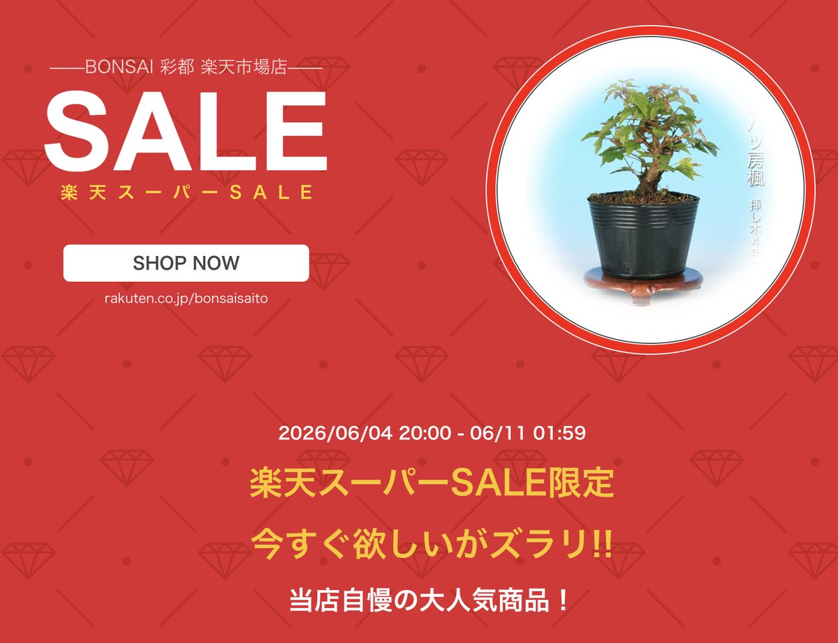 近代出版 編集部 (@kinbon_bonsai) / Posts / X