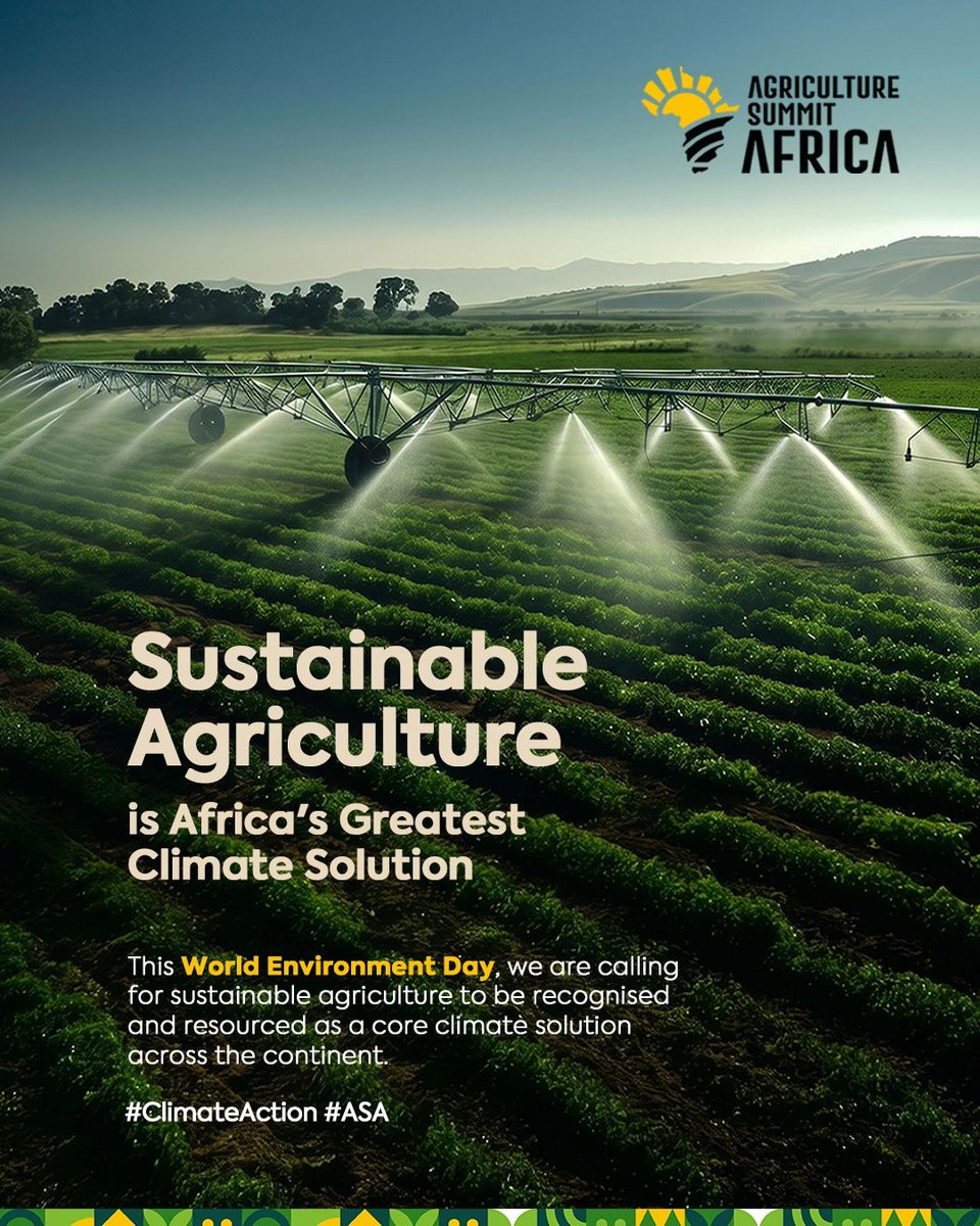 AgricSummit's tweet photo. This World Environment Day, we are calling for sustainable farming to be recognized and resourced as a core climate solution across the continent.

When we invest in Africa's farmers, we invest in the planet's future. 

#WorldEnvironmentDay #ClimateAction #ASA https://t.co/cBi5nVlnPs