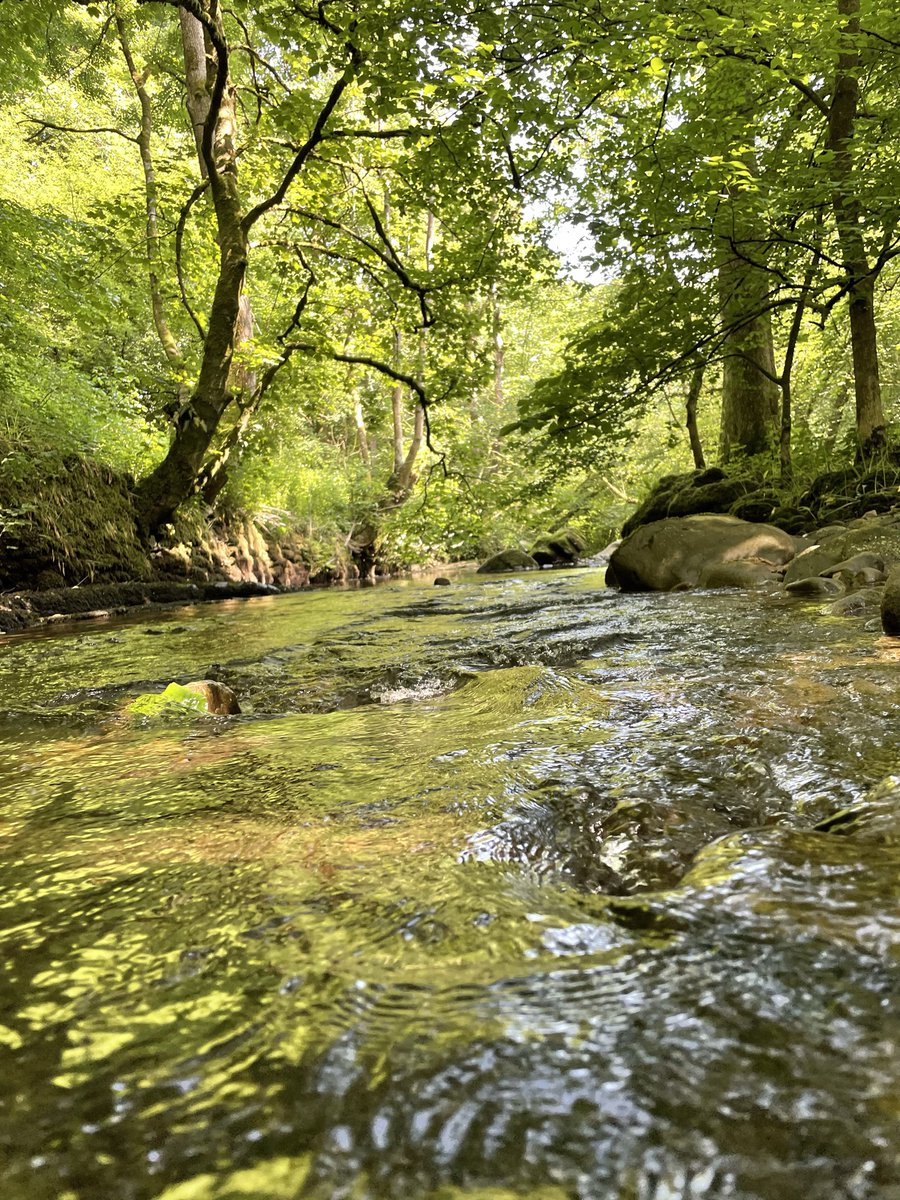 yorkshire_dales's tweet photo. Discover the inspiring work of the Yorkshire Dales Rivers Trust at the Rivers4Life summer exhibition @DalesMuseum. Thanks to National Lottery players, this exciting 3-year project blends art and science to connect us with our rivers 👇

https://t.co/JBsajCvndX https://t.co/PxJekWCo8s