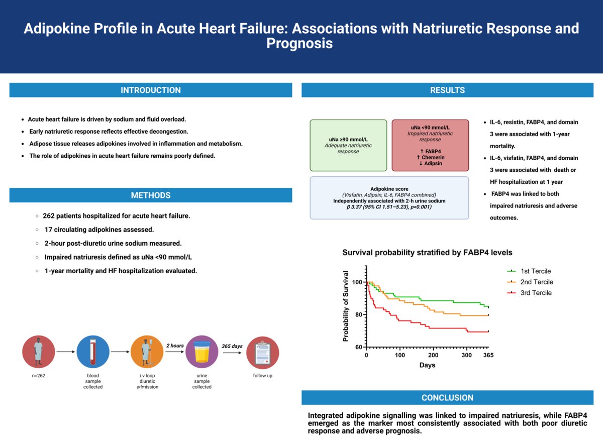 ESC_Journals's tweet photo. 🫀Adipokine Profile in Acute Heart Failure: Associations with Natriuretic Response and Prognosis. see @ESC Heart Failure https://t.co/UmJXqCG8T9

@EJHFEiC @JanBiegus @Ppponikowski #HFA_ESC @hvanspall   @ShelleyZieroth @FudimMarat @gcfmd  @MarcoMetra @GianluSava #ESCHeartFailure https://t.co/BznNV4KpTf
