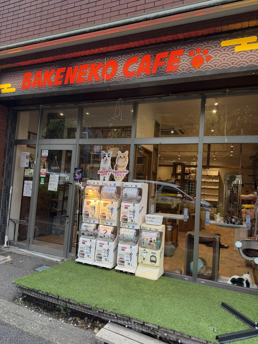 bakenekocafe's tweet photo. BAKENEKOガチャランド
オープンしました！

猫に関するガチャしかありません！
巷で人気のあの猫グッズもガチャ可能です！

店外でもさらに楽しめる様になりました！

西早稲田駅近くに、猫ガチャスポット爆誕です！ https://t.co/yM3ataICZs