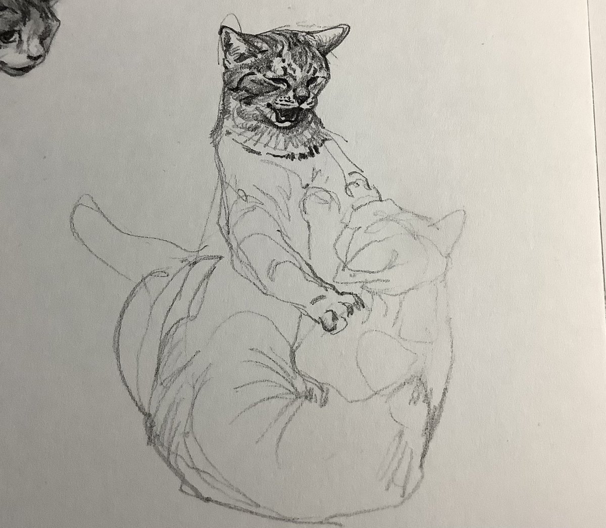 Brokenwingyiluo's tweet photo. Playing on my notebook🐈🐈 https://t.co/G3EdhdkqrQ