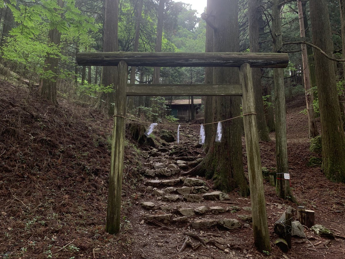 AlleinAdler's tweet photo. 2026.6.5 大塚山・御岳山・大岳山・鋸山

ルートロケで奥多摩のロング縦走へ🥾
晴れ予報に裏切られて終日曇り＆高い稜線はガスでしたが、明暗差の少ない登山道を撮影できたので結果OK☁️
鋸尾根は修験ムードたっぷりの岩場が楽しかったです…膝が痛くなければ尚更💦 https://t.co/BOruvc8gXm