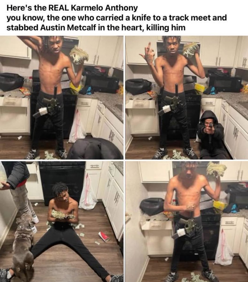 funnycats2012's tweet photo. @BurnerOnnaAlt @G0rmtheYoung Just saw this picture after writing this and, needless to say I'm more than right. 
See if you can find a picture of austin metcalf similar to these
Actually crazy, americans have lost their minds letting thugs act these ways without being inmediately arrested for ts https://t.co/b7sRFhGuQK