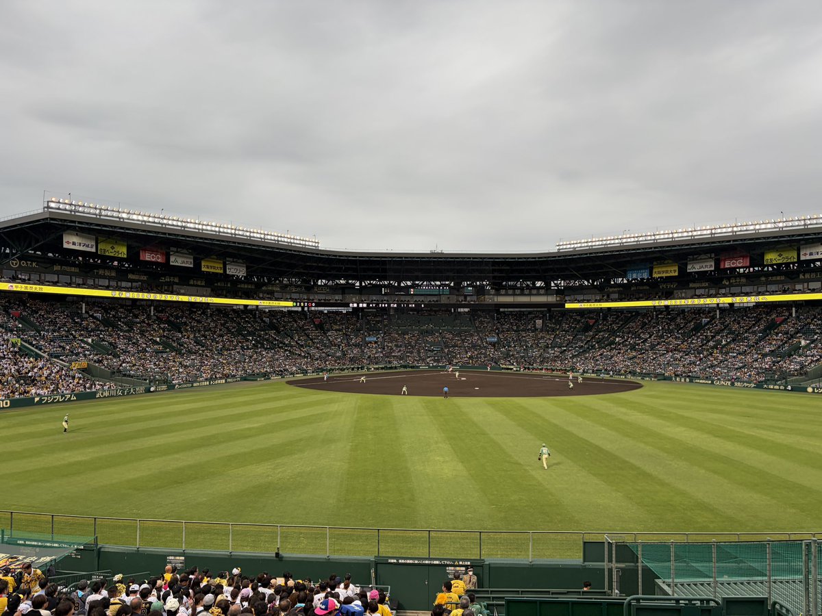 kitune_tigers3's tweet photo. 勝つよぉ https://t.co/V3MrURY0i1
