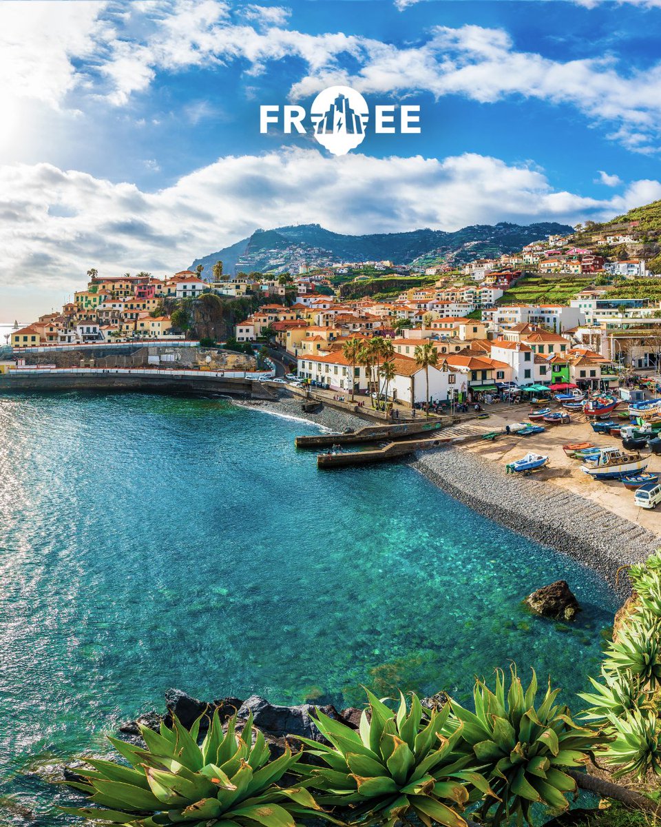 FREE Madeira tweet media
