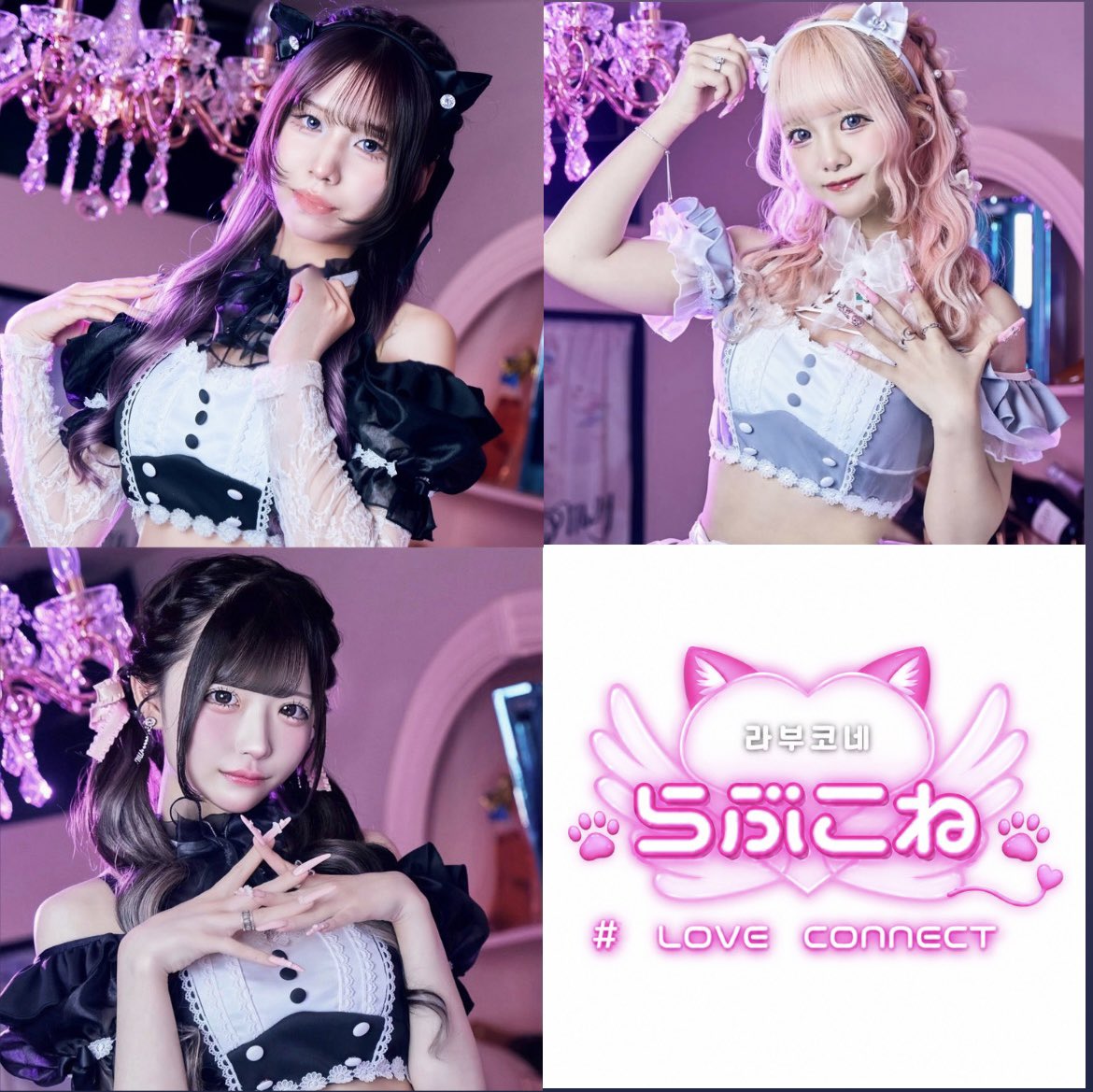 ✦︎︎︎.6月5日(金) 18:00-翌5:00♡.*・ﾟ 本日のねこちゃんたち࣪ 𑊢