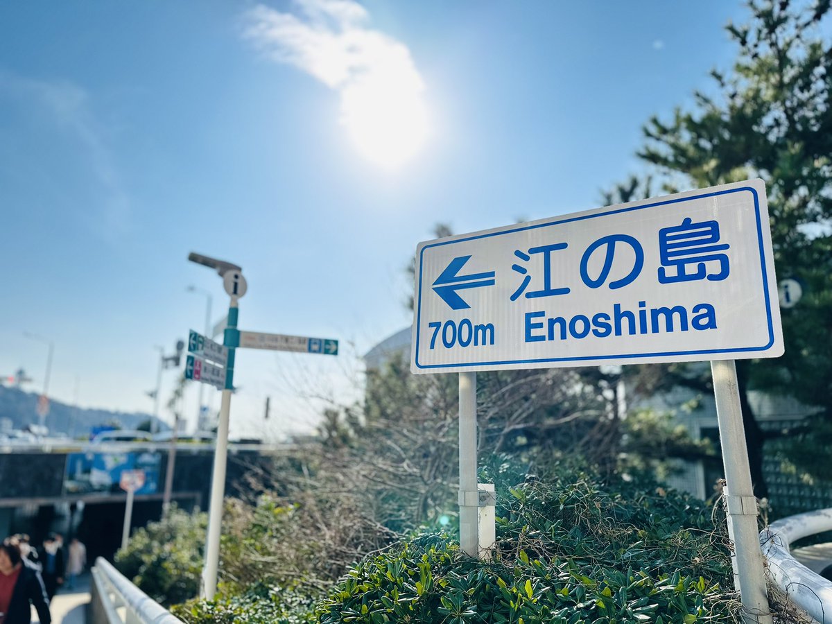 StudioSeatopia's tweet photo. 6月の週末ご予約状況🏝🫧

6/7(日) 1部△ 2部◎
6/13(土)1部◎ 2部◎
6/14(日)1部×  2部○
6/20(土)1部〇 2部◎
6/21(日)1部◎ 2部△
6/27(土)1部◎ 2部〇
6/28(日)1部◎ 2部◎

ご予約には枠がございますのでお早めにお願いいたします🪼 https://t.co/XZt25U2pg2