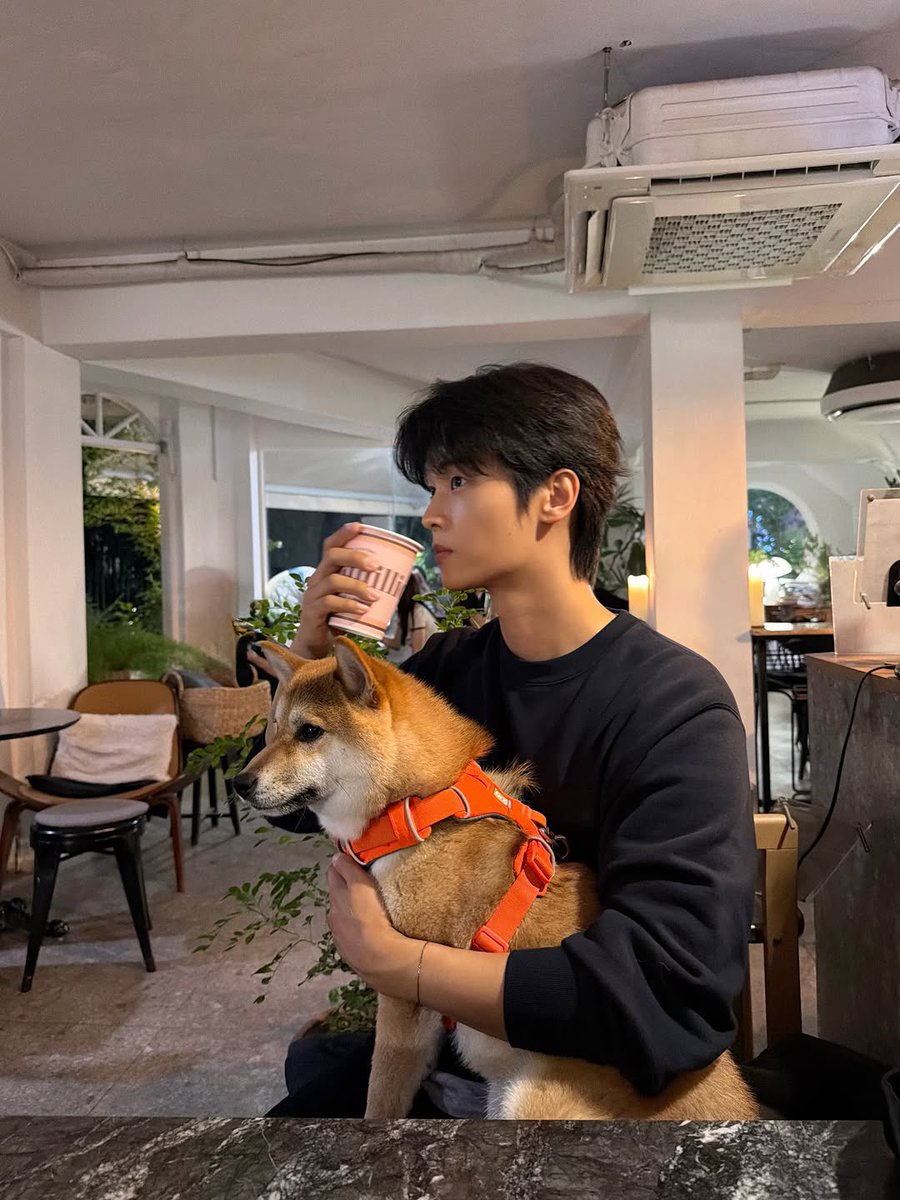 FRoad_N's tweet photo. 오늘의픽♡
가우수가고 차학연와서 행복한 그묘일 https://t.co/tYYwJCKZws