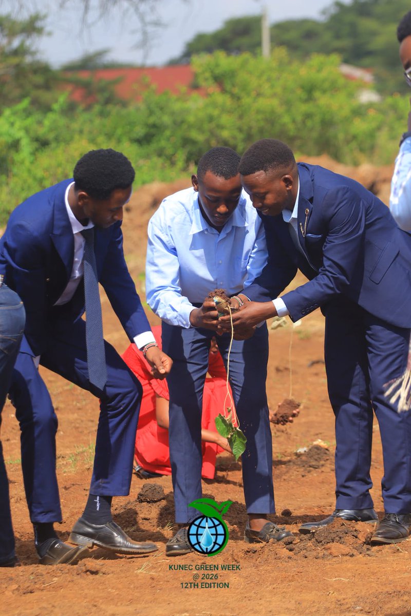 one4mutuma's tweet photo. Every seedling counts as we contribute to the Vision 2030 goal of 15 Billion trees initiative by 2030. Small actions, big impact! 💧🌳

Let's keep our planet green and our futures bright!

#worldenvironmentday2026 #GoGreen #Climateaction https://t.co/Lrbs35J5PB