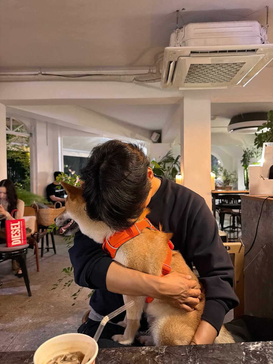 goonook29's tweet photo. 아 시바되고싶어 https://t.co/mxLxGSh2nI