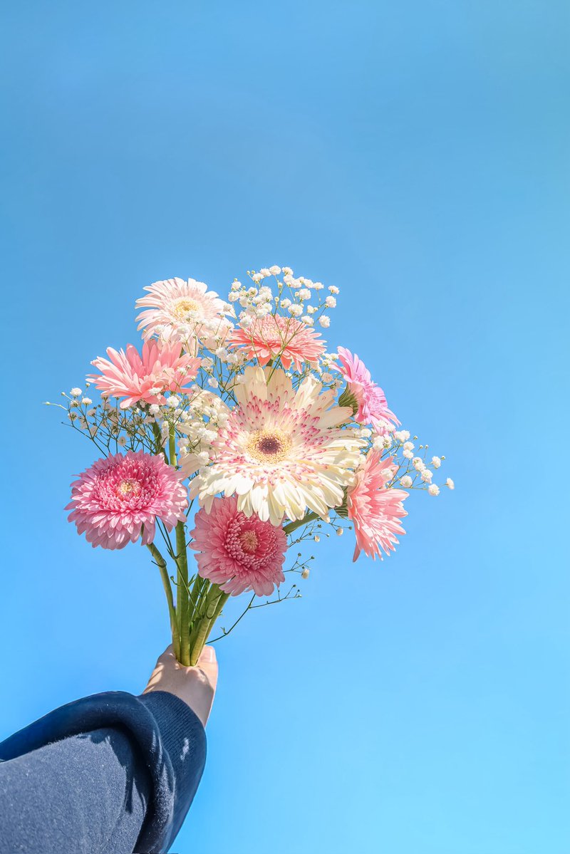 Noah_photobook's tweet photo. お花に癒されたい人に届きますように。 https://t.co/09K1ncn9a7