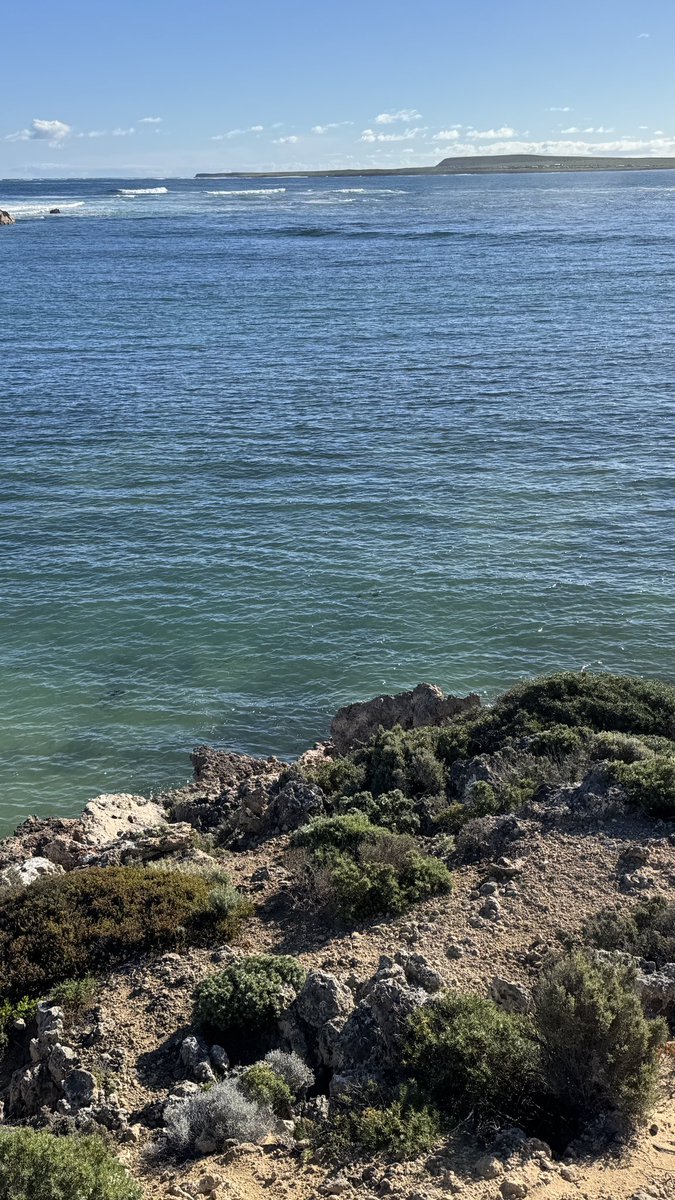 traceytab's tweet photo. Wrapping up a gorgeous calm day here on Eyre Peninsula. No wind,  ocean is resting, weather is pretty much perfect, eagles, hawks, osprey, all flying around here, much the same tomorrow, and maybe it’ll even be a little more slower for us #decompress ✌🏼 https://t.co/04Oe1Cr34G