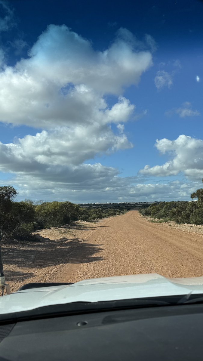 traceytab's tweet photo. Wrapping up a gorgeous calm day here on Eyre Peninsula. No wind,  ocean is resting, weather is pretty much perfect, eagles, hawks, osprey, all flying around here, much the same tomorrow, and maybe it’ll even be a little more slower for us #decompress ✌🏼 https://t.co/04Oe1Cr34G