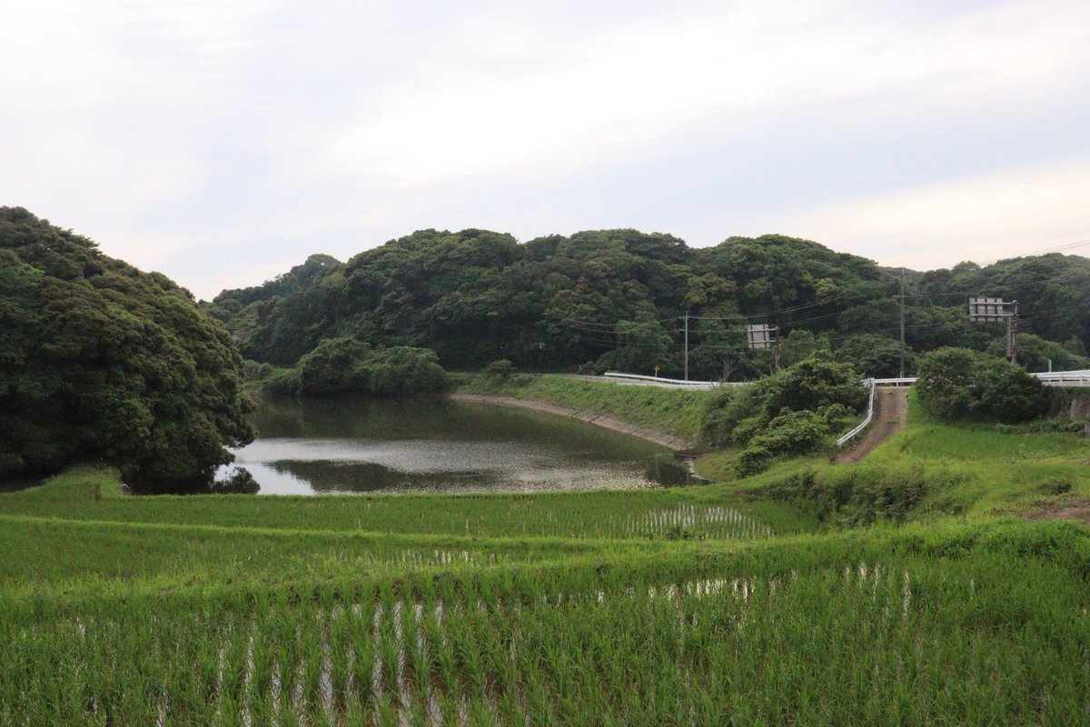 sagabunka's tweet photo. ／
これ、常識変わるかも。
加藤清正＝熊本城、だけじゃない。
“築城名人のはじまりの地”肥前名護屋城。
＼

～NHK大河ドラマ「＃豊臣兄弟！」ゆかりの陣跡紹介～
🚩第7回は #加藤清正
🏯シリーズ【名護屋・築城名人】第2弾！

戦国屈指の人気武将・加藤清正。劇中では伊藤絃さんが熱演！
オーディション抜擢👉初出演が大河という“超新星”のフレッシュな存在感に注目👀

名護屋城では黒田長政・小西行長とともに普請奉行を担当。
この経験が後の🏯熊本城、江戸城、尾張名古屋城など日本を代表する名城づくりにつながります。
藤堂高虎・黒田孝高と並び称される“築城名人”の原点は、まさに、ここ名護屋。
さらに尾張名古屋城での驚き。築城主は徳川家康ですが、清正の突出した技術力と統率力の功績を讃え、城内に銅像が2体も。
👉「はじまりの名護屋城」あってこその「おわり名古屋城」。歴史が線でつながる瞬間。

そんな清正の陣跡は現地では見られませんが、サイン展示で当時の姿をイメージできます。
しかも、陣のお隣さんは福島正則・片桐且元。
賤ヶ岳の七本槍が並び、名護屋城の守りを固める配置。

👉秀吉の“子飼いへの信頼”が、陣立てからも見えてくる興味深いポイント。
📍陣跡の詳細はこちら
https://t.co/W3lcTSGd7j

📚おすすめ
今村翔吾『八本目の槍』
七本槍と石田三成を新視点で描く話題作。人物の息遣いまで感じる没入感――
「豊臣兄弟！」と一緒に読むと面白さ倍増！
https://t.co/ASVK7ev0nj

🍵イベント情報
「第6回 名護屋城大茶会」
11月22日開催決定！続報にご期待ください👇
https://t.co/Vz6s2lPpe1

#佐賀県 #名護屋城 #加藤清正 #豊臣兄弟 #NHK