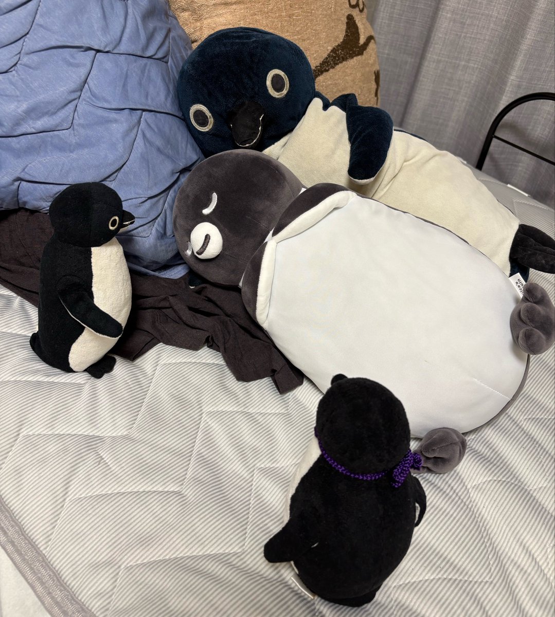 RRICL's tweet photo. 行ってくるよ

クタ「本来ならクタペンさんが行くべきだが訳あって行けぬ！
　　　名代としてしっかり務めを果たしてくれよ！」

ポジ「おまえは土日にゴロゴロしてたいだけだろ」 https://t.co/F59DC5EwtC