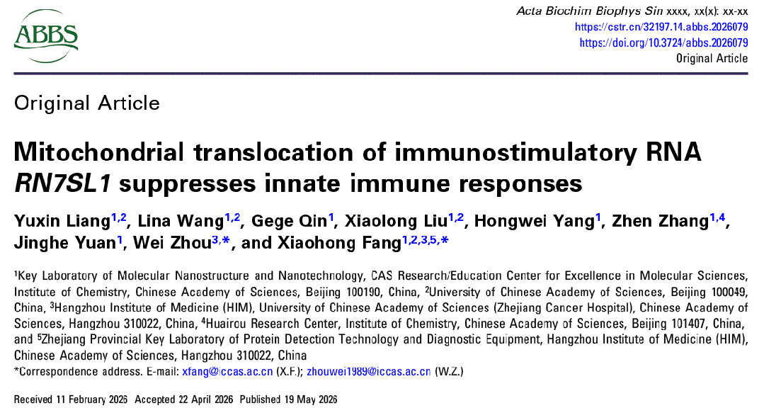 ABBSjournal's tweet photo. 🎉Mitochondrial translocation of immunostimulatory RNA RN7SL1 suppresses innate immune responses
https://t.co/ZdEEgdWmRp

#mitochondrion  #RNA transport  #dsRNA #innate immunity https://t.co/Pz18ENSFUL