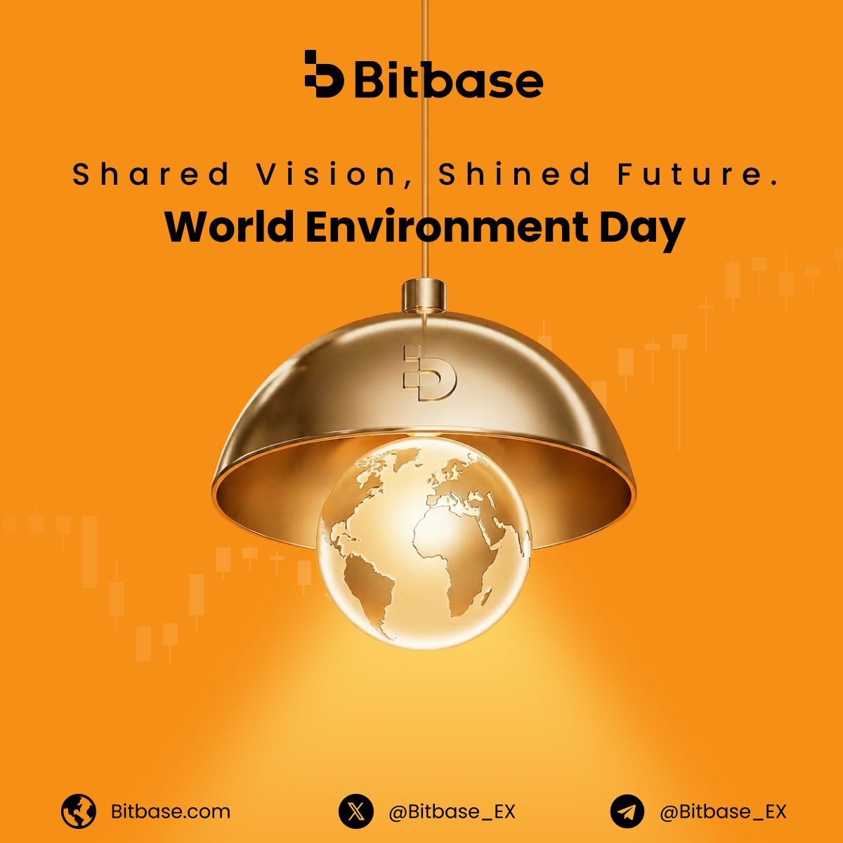 Bitbase Exchange tweet media
