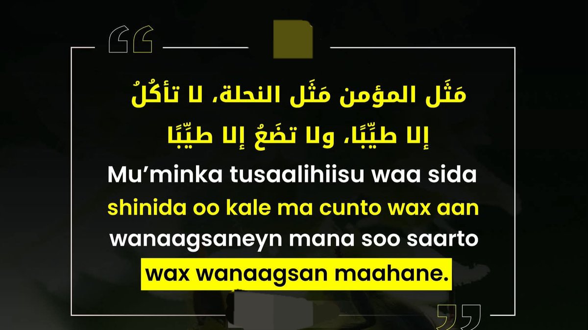 TEMfaraskadoolo's tweet photo. Mu’minku waa sida shinida; wuxuu ka fogaadaa xumaanta, wuxuu doortaa wanaaga, wuxuu umadda ku soo kordhiyaa kheyr iyo wanaag, Hadalkiisu waa mid qurxoon, camalkiisuna waa mid wanaagsan, meel uu joogana wuxuu ku faafiyaa naxariis, akhlaaq wanaagsan iyo https://t.co/sDtcX4H7Lt