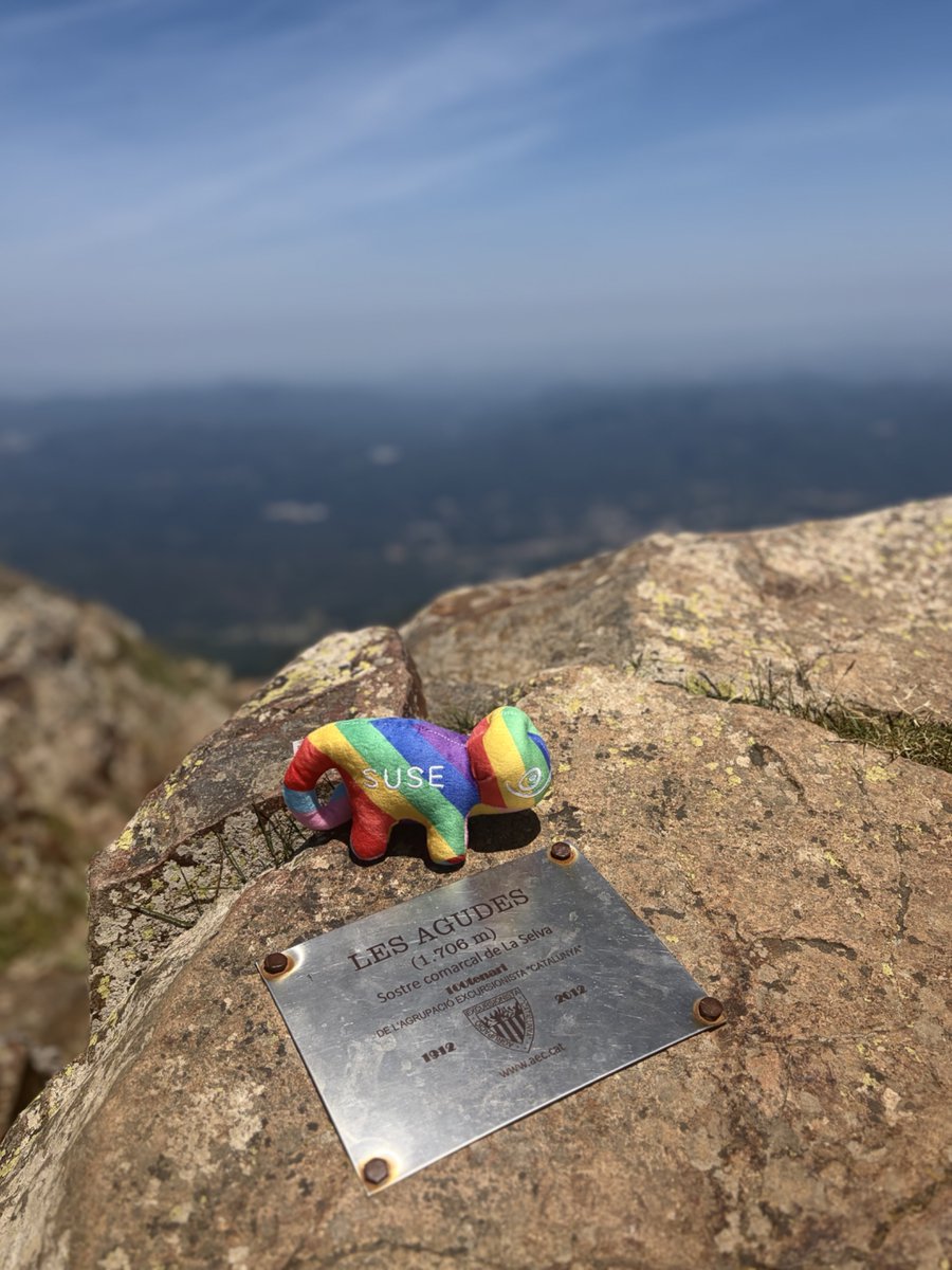 SUSE's tweet photo. 🌈 Happy Pride Month! At SUSE, Pride Season lasts all summer - because inclusion isn’t a moment, it’s a movement.

Rainbow Geeko is officially on tour 🦎✨Follow along as they visit teams, events, and celebrations around the world.

💬 What brings you Pride? Drop it in the comments.

#PrideMonth #SUSEPride #Inclusion #Diversity #RainbowGeeko