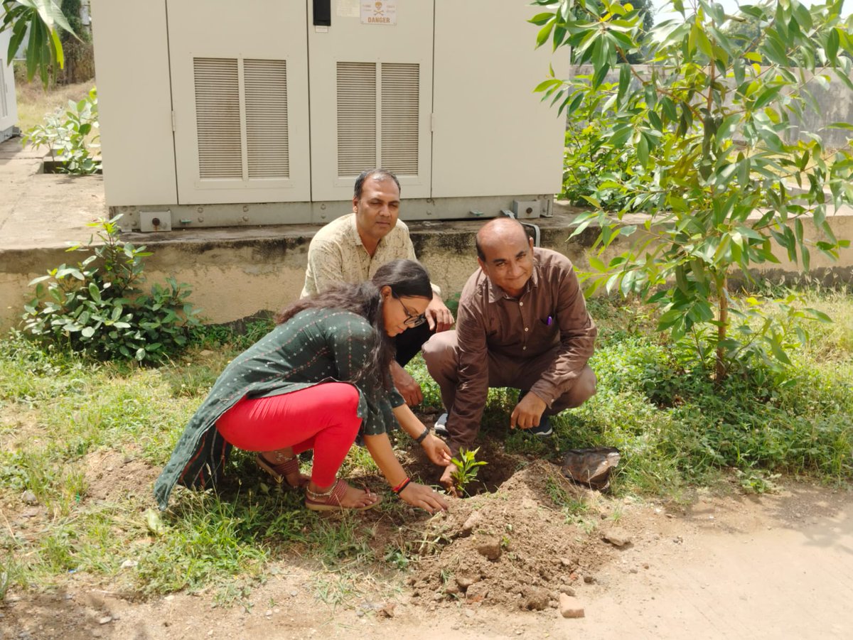 drkalamcsckheda's tweet photo. 🌲Nurturing nature for a sustainable tomorrow! Today, on #WorldEnvironmentDay, we celebrated by organizing a Tree Plantation drive at ITI Palana.Every sapling planted today is a step toward a greener,healthier future. Let’s protect our planet together!🌍 #GenerationRestoration https://t.co/04BX6zyg8k