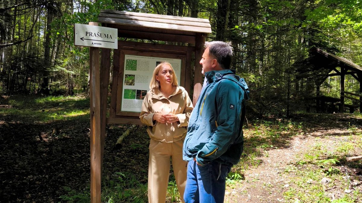 UNDPBiH's tweet photo. From the Ravna Vala primeval forest on #WorldEnvironmentDay: nature is one of 🇧🇦’s greatest assets - the foundation of healthy communities, resilience and sustainable development.

Inspired by Nature.
For Climate.
For Our Future.

Watch 📽️ https://t.co/PsdMHb1SO1 https://t.co/JpDSoRmsqQ