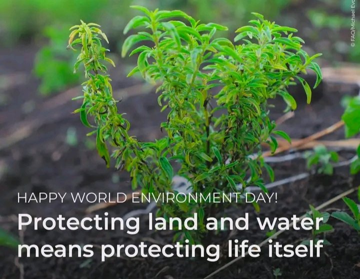 ScientistCallum's tweet photo. Protecting our environment means securing our food supply, improving climate adaptability, and making sure that future generations have what they need to live well.

As we look at the theme "Protecting land and water means protecting life itself," let’s commit to everyday practices that nurture the soil, conserve our waters, and honor the environment that gives us so much. 🌾💧

#WorldEnvironmentDay