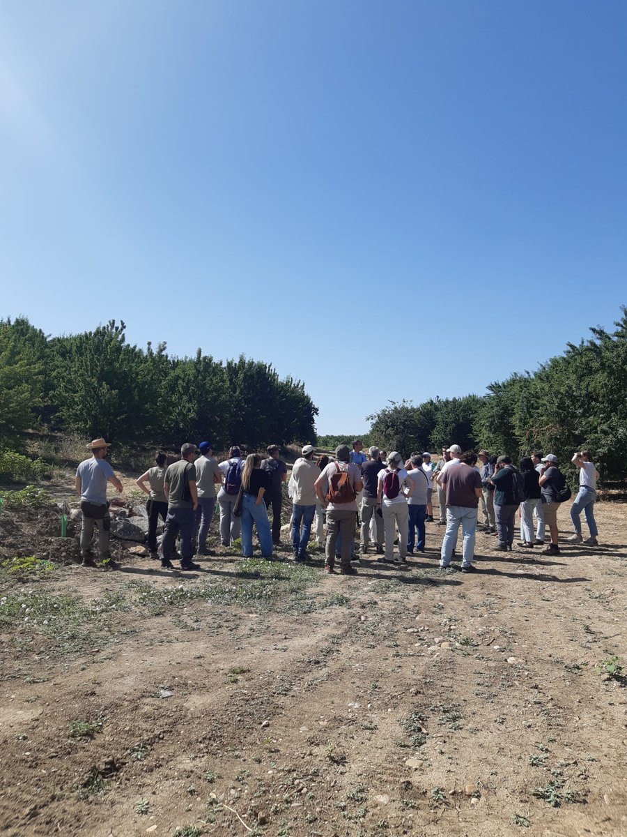 redPAC_'s tweet photo. 🌿 La Antena Territorial de Andalucía participó en las jornadas sobre conectividad ecológica en la Campiña de #Córdoba, un espacio para abordar las oportunidades ligadas a la restauración de la naturaleza en paisajes agrarios
🎥VÍDEO del proyecto: https://t.co/wLxtviaQQx https://t.co/n3yRDmW4NN