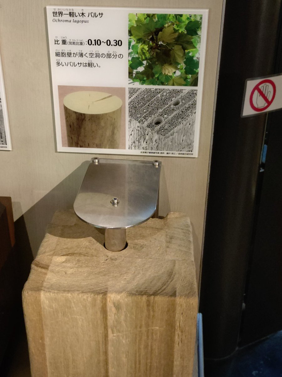 RandyCarbuncle's tweet photo. 上野の地球館で、リグナムバイタとパルサ材触ってきた
リグナムバイタ重いし、バルサ材はかるすぎる https://t.co/Ze4WoxOI7J