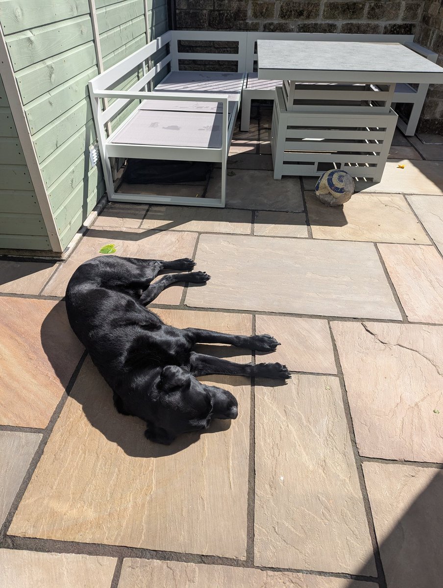 ablacktale's tweet photo. Thank dog the sun has returned. Please do not disturb me, for I am charging ☀️ https://t.co/xi0r8mV4wv