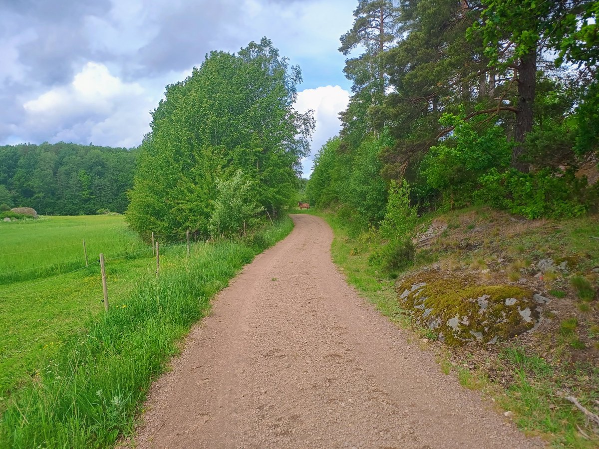 Allvishet's tweet photo. Out in the fields https://t.co/wXpn7MbwGN