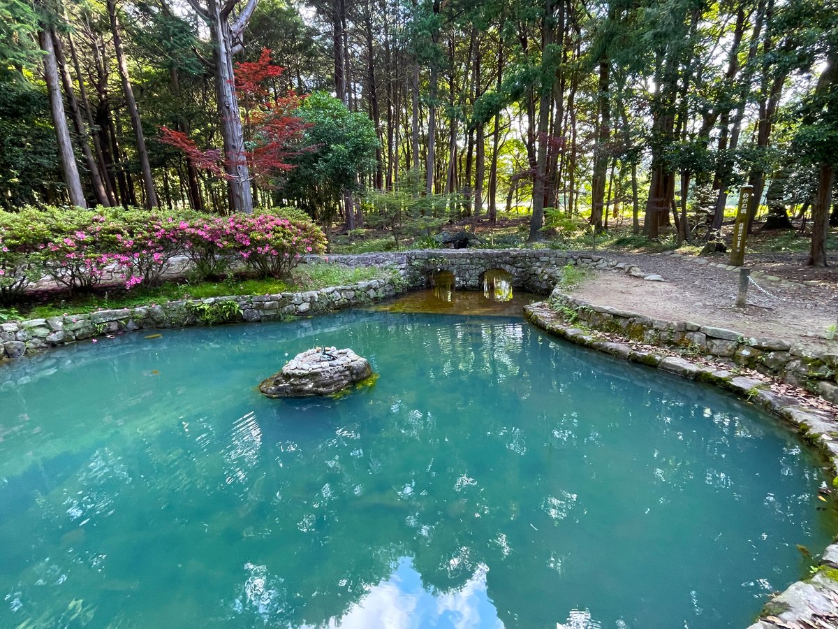 buraneta's tweet photo. 阿波國一の宮 大麻比古神社は、他の神社に無い見どころも多くおすすめの神社です。

ぶらねた徳島：見どころが多い穴場の一宮 大麻比古神社 https://t.co/gVDqbJDu8F https://t.co/FSRYEeIQht