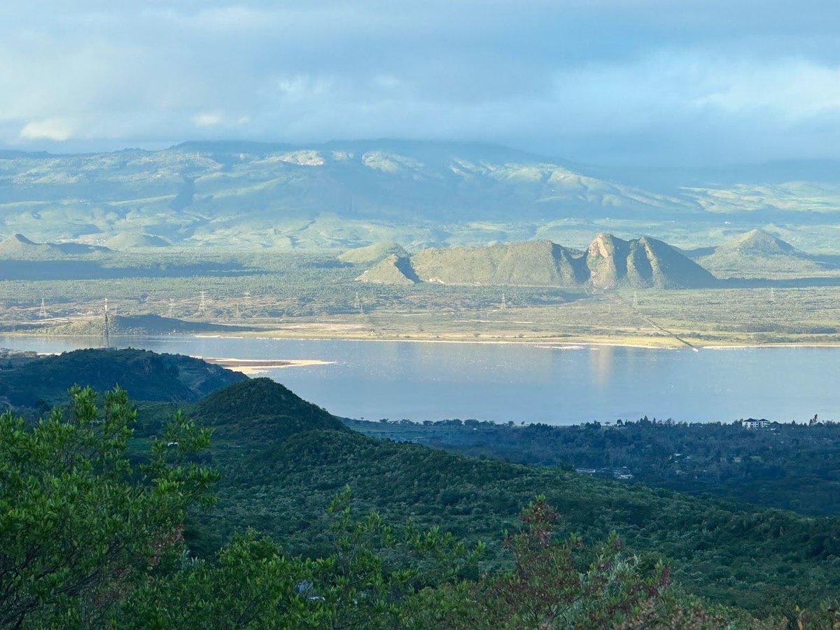 GladTechnology's tweet photo. At GLAD Technology, caring for our environment is part of who we are. From the shores of Lake Elementaita to the hillside at the Shire, we plant, we clean, and we build with purpose.

Happy World Environment Day. 🌱

#WorldEnvironmentDay #GLADTechnology #TheShire  #TechEducation https://t.co/W0LhAtpXqv
