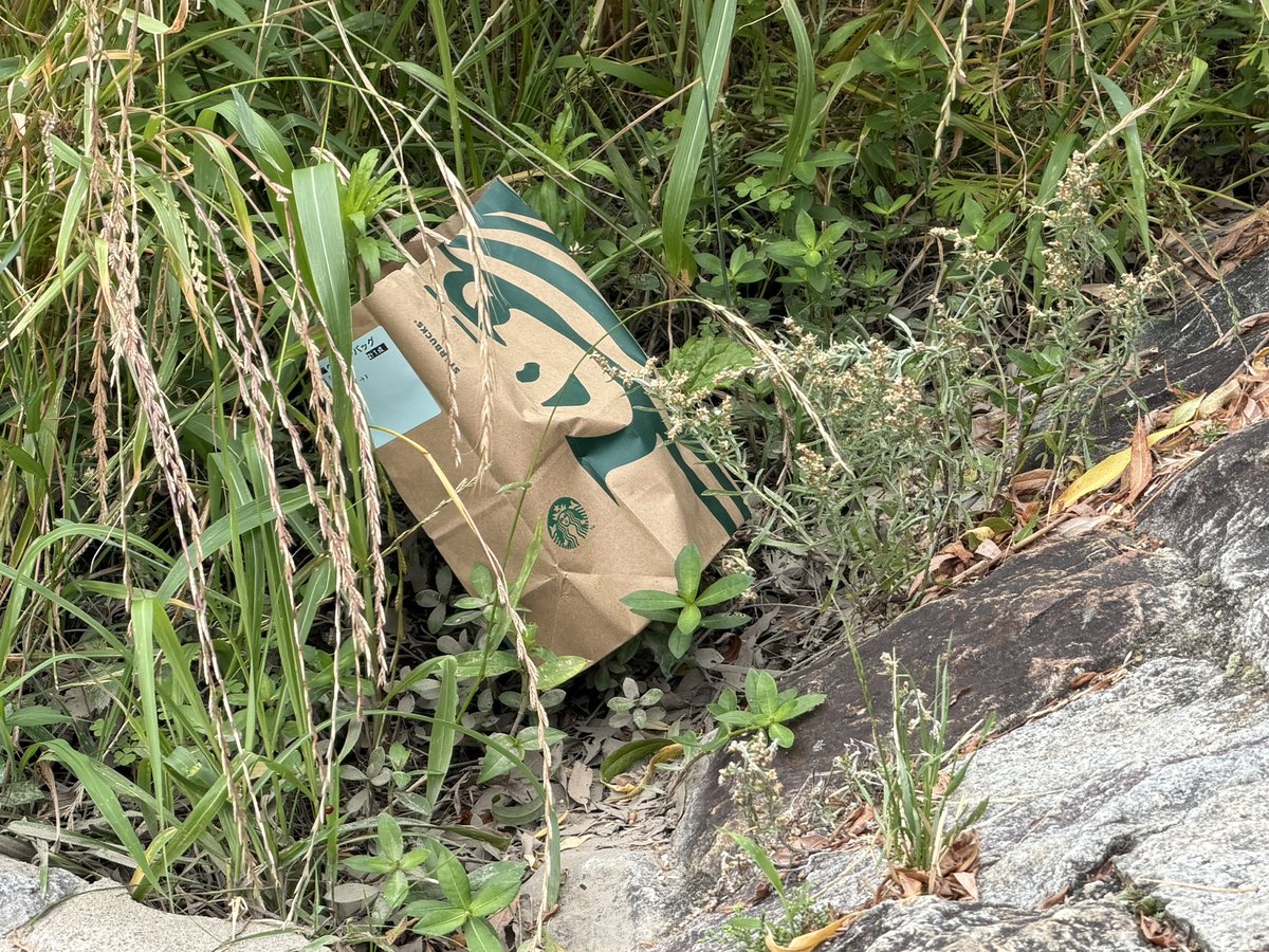 shichibri's tweet photo. 近くにスタバありましたっけ？
捨てるつもりはなかった、飛んで行ったということもありますね。
急に強い風が吹くことがあるのてわ、鴨川沿いでお食事をする時は気をつけましょう。
トンビにも気をつけて下さいね。 https://t.co/xwQlZJgEyd