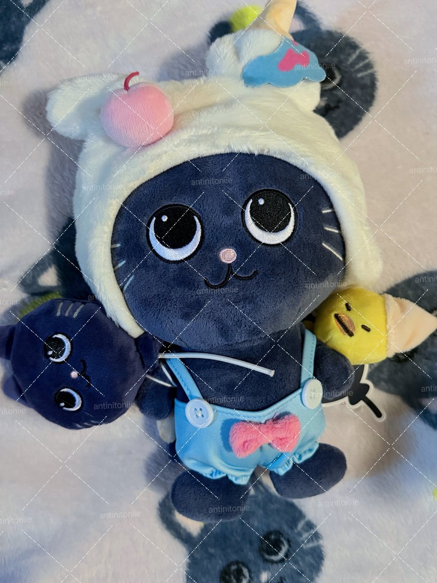 antinitoniie's tweet photo. wts / wonbin tonyangdok โทน 20cm 

1450b free shipping 🐈‍⬛

#ตลาดนัดriize #ตลาดนัดน้องข้าว https://t.co/Nu264rl55e