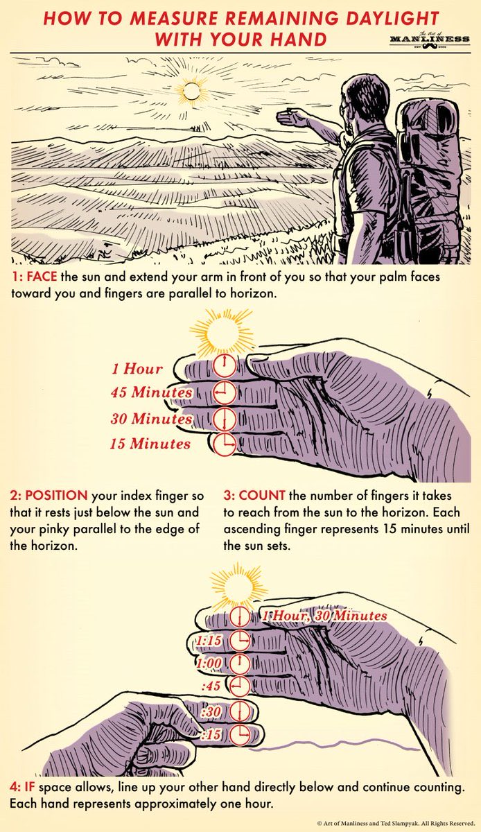 LearningHubX's tweet photo. How to measure remaining daylight with your hand... 📏 https://t.co/zP4GgS40oL