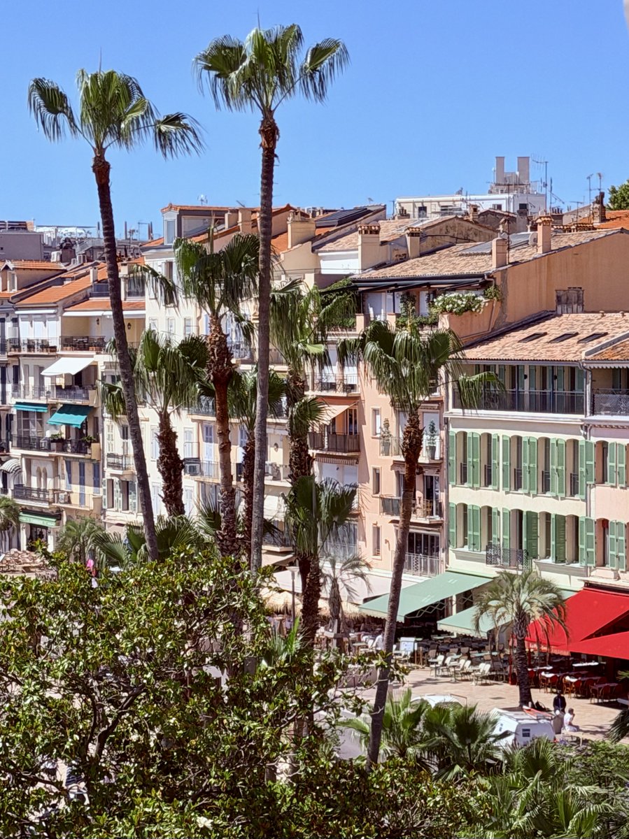 TdePariente's tweet photo. En partant du conseil municipal 🥰 https://t.co/KK3xJhlNyg