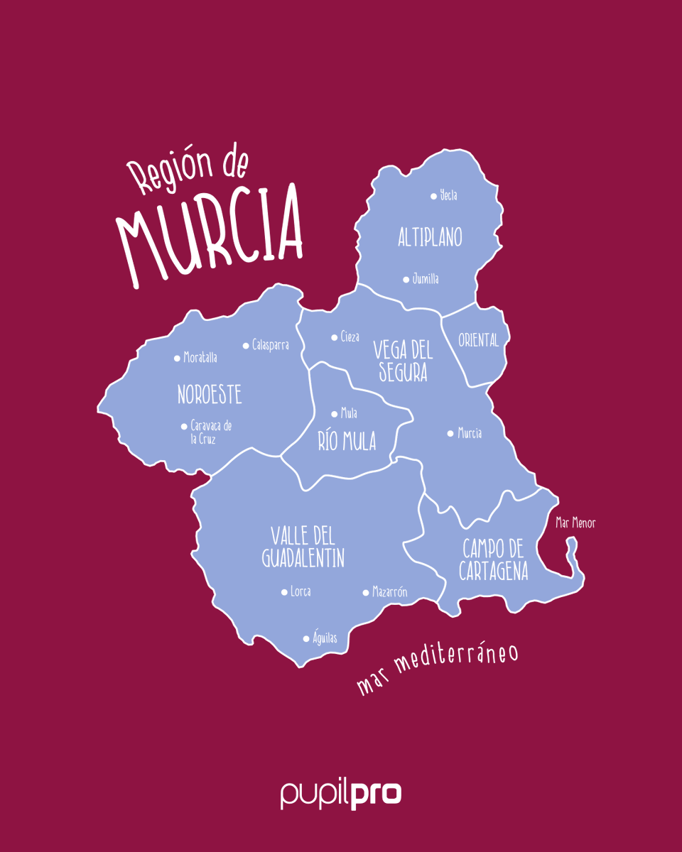 pupilpro's tweet photo. 📆🗺️ Se aproxima el Día de la Región de Murcia ☀️ y qué mejor momento para que nuestros alumnos conozcan las comarcas.

🌳 Vega del Segura , 🏔️ Noroeste, 🥁 Río Mula, 🍷 Altiplano... ¡todas ellas forman la riqueza y diversidad de nuestra región! 😍

#regióndemurcia #pupilpro https://t.co/4Z4mjkk5gd