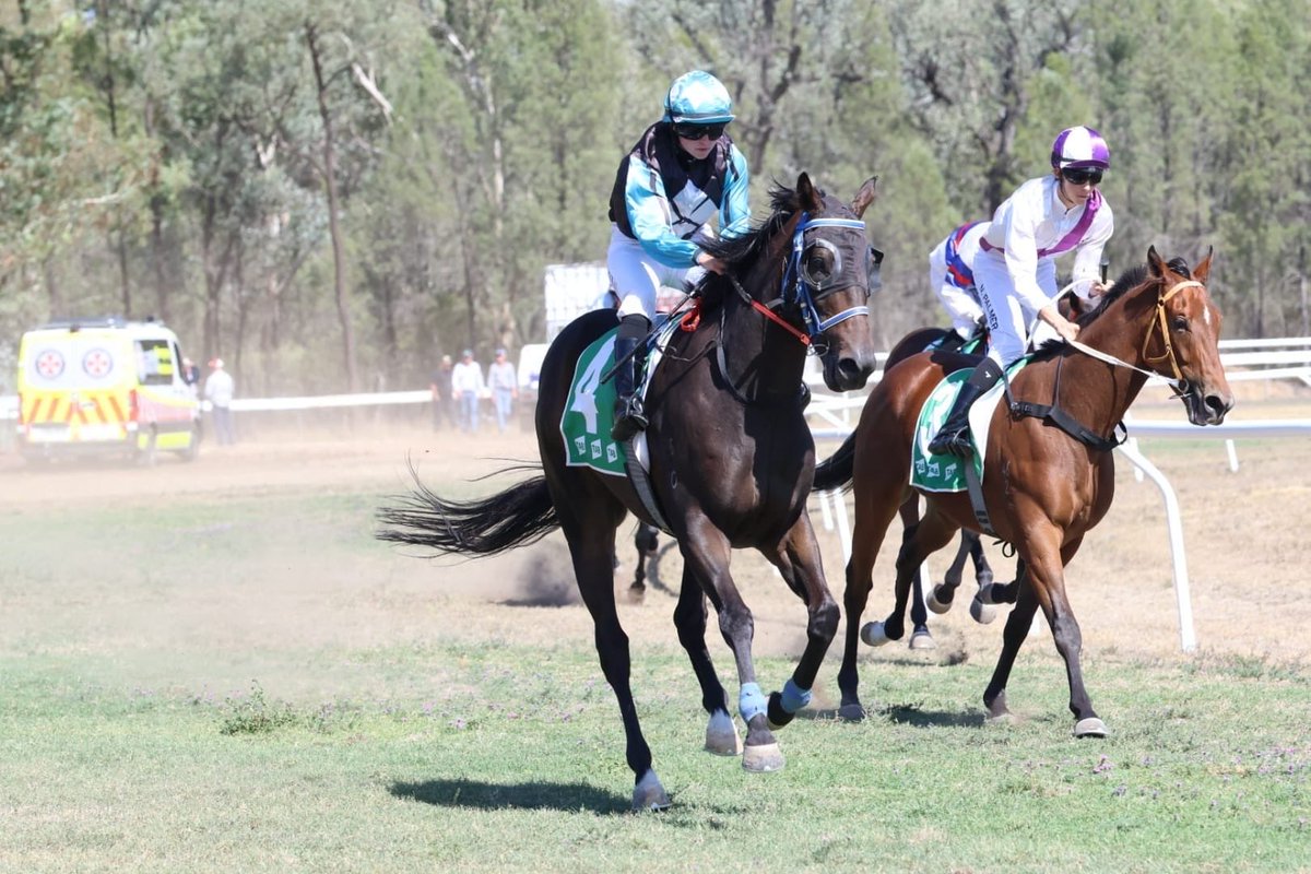 oneileracing's tweet photo. Troy O’Neile and connections will appreciate a return to racing at Tamworth on Saturday following a plethora of abandonments due to the recent wet weather.

On his home track, O’Neile will have up to five runners going around.

Link in bio for story 🔗 https://t.co/EopA4SyW0z