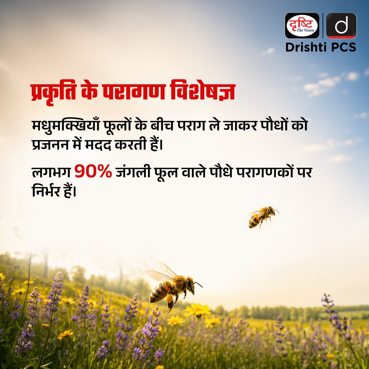 DrishtiPCS's tweet photo. आकार में छोटी, लेकिन प्रभाव बहुत बड़ा।   

मधुमक्खियाँ उन पौधों को परागित करती हैं जो हमारा पेट भरते हैं, जैव विविधता का समर्थन करते हैं, पारिस्थितिक तंत्र को मज़बूत करते हैं और हमारे ग्रह को स्वस्थ बनाए रखने में मदद करते हैं। फिर भी, ये महत्त्वपूर्ण परागणक आवास के नुकसान, प्रदूषण, जलवायु परिवर्तन और असंतोषजनक कृषि पद्धतियों के कारण बढ़ते खतरों का सामना कर रहे हैं।  

इस विश्व पर्यावरण दिवस पर, आइए हमारे पर्यावरण के लिए अथक परिश्रम करने वाले इन नन्हे रक्षकों को पहचानें और उनकी रक्षा के लिए कदम उठाएं।  

क्योंकि जब मधुमक्खियाँ समृद्ध होती हैं, तो प्रकृति समृद्ध होती है। 

#WorldEnvironmentDay #NowForClimate #SaveTheBees #Biodiversity #DrishtiPCS