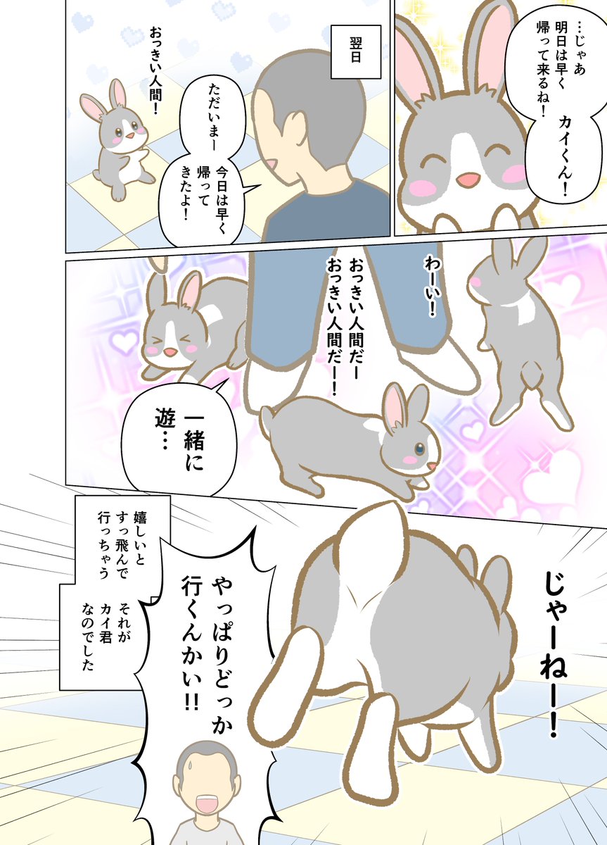 studiopopoippi's tweet photo. 人間が構いに来るとすぐどっか行っちゃうけど、人間がいないと…？
そんなうさぎあるある
#うさぎがいる暮らし 
#漫画が読めるハッシュタグ https://t.co/NBn6C0fdmX