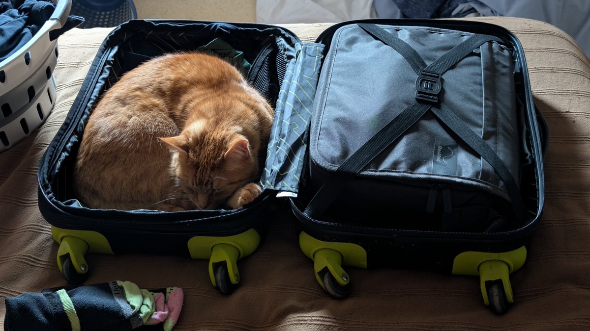 DFIRSamurai's tweet photo. @Tr3s0r I caught him before I finished packing. https://t.co/aRczkkhDr3