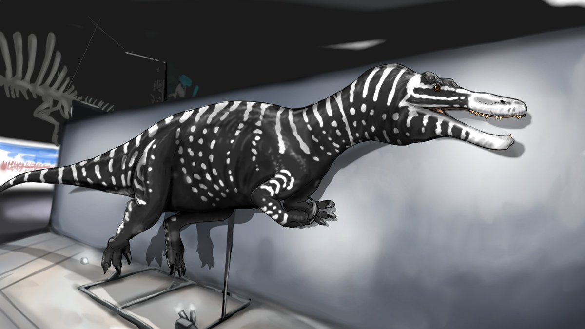 AMEHUKURAdinos's tweet photo. 展示されてたバリオニクス https://t.co/PlWCIdEmFG
