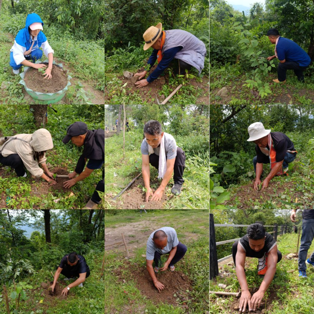 BjpKohima's tweet photo. The BJP Kohima District Unit, comprising the District Committee, Morchas, Mandals, and State Office Secretary Smti. Keviphono, observed World Environment Day at the Naga Heritage Village, Kisama. Aligning with the theme "Ek Ped Maa Ke Naam," the team planted 200 saplings. https://t.co/eXqDWaruCF