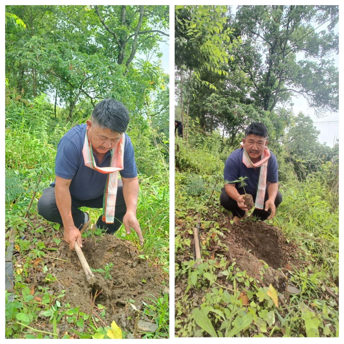 BjpKohima's tweet photo. The BJP Kohima District Unit, comprising the District Committee, Morchas, Mandals, and State Office Secretary Smti. Keviphono, observed World Environment Day at the Naga Heritage Village, Kisama. Aligning with the theme "Ek Ped Maa Ke Naam," the team planted 200 saplings. https://t.co/eXqDWaruCF