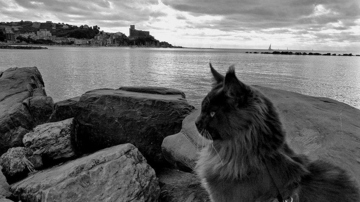 Clag63's tweet photo. Neo &amp; Lerici 🤩 https://t.co/1kdKo5rnwJ