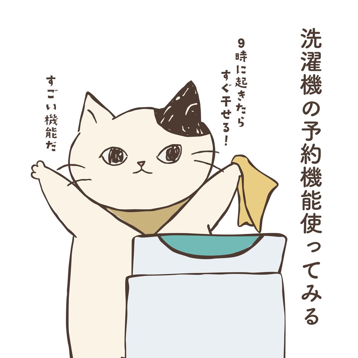 shanffy_jp's tweet photo. 【ミニ漫画⑧】
洗濯予約🧺
（👈左画像からタップ）

#SHANFFY #シャンフィー #猫 #リーネ #洗濯機 https://t.co/SULDtokYwx